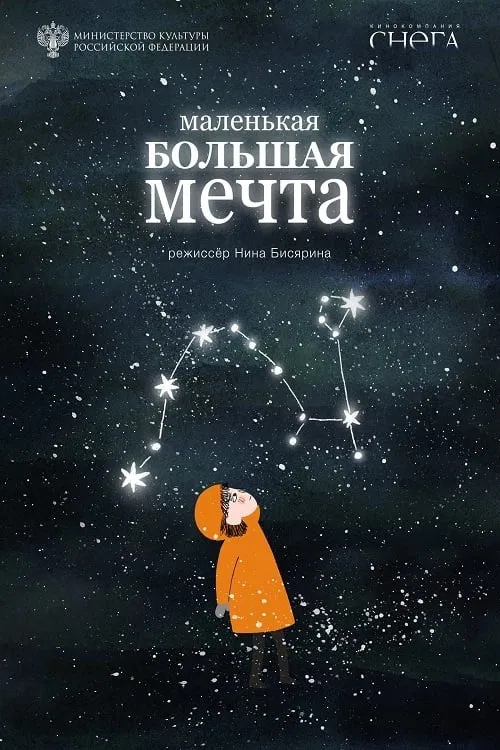 Little Big Dream movie poster