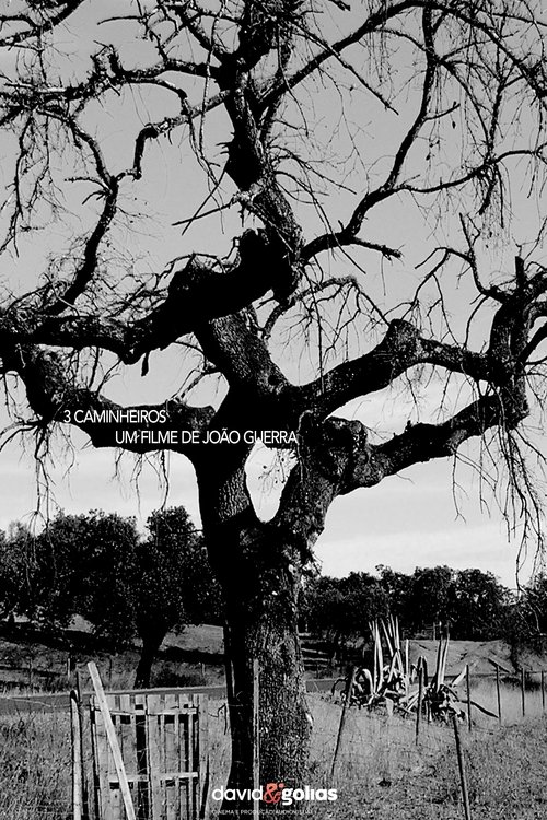 Poster do filme 3 Caminheiros