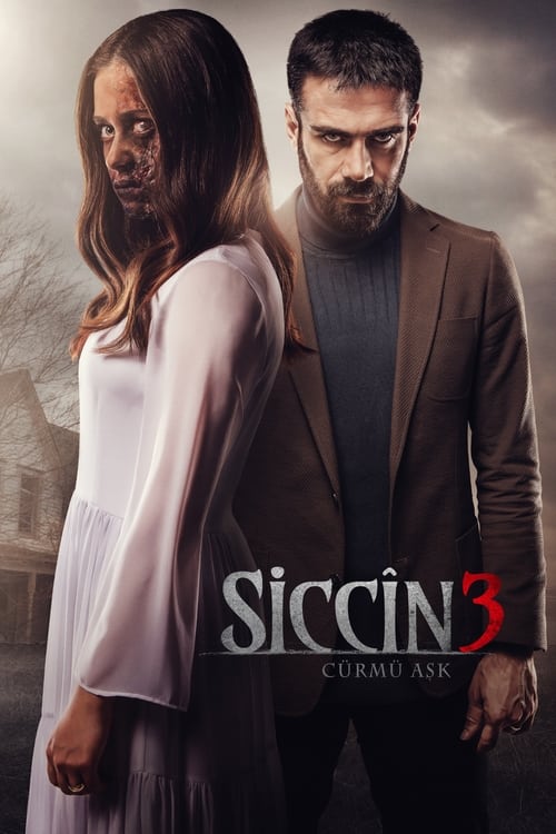 Sijjin 3: The Forbidden Love movie poster