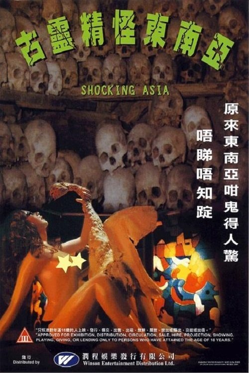 Shocking Asia movie poster