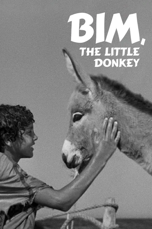 Poster do filme Bim, the Little Donkey