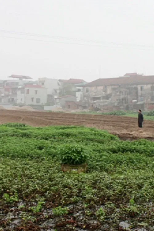 Landscape Series #1 movie poster