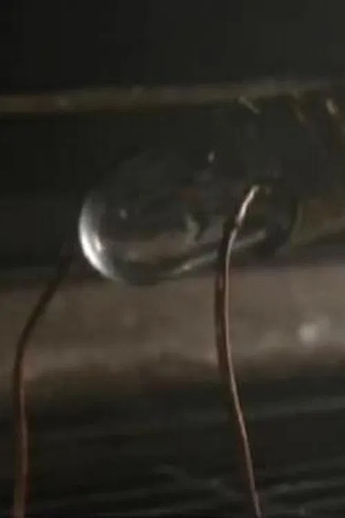 The Origins of Electricity movie poster