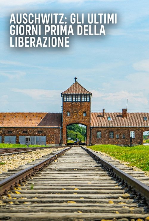 Auschwitz: Countdown to Liberation movie poster