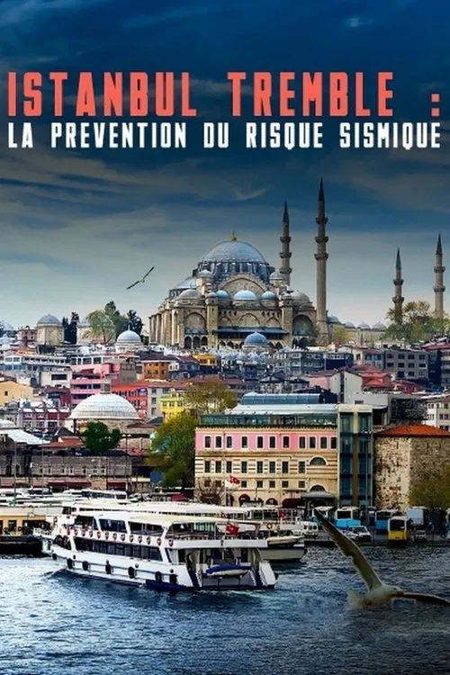 Istanbul tremble : La prévention du risque sismique movie poster