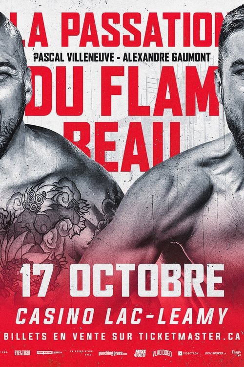 Alexandre Gaumont vs. Andres Viera movie poster