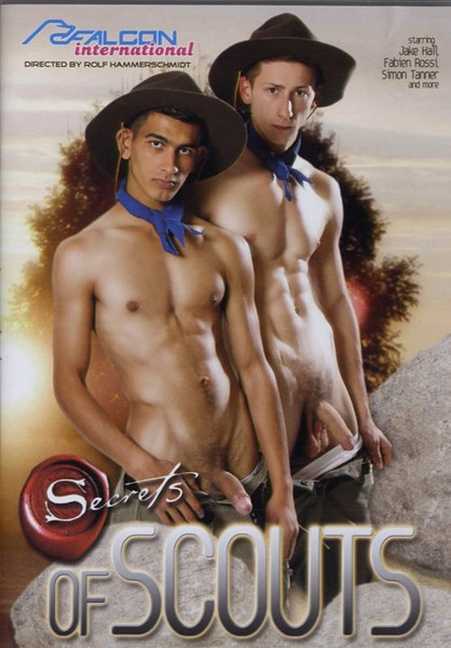 Secrets of Scouts movie poster