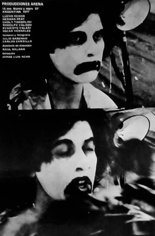Poster do filme Producciones Arena
