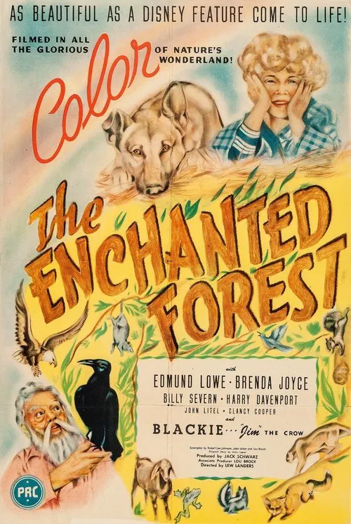 The Enchanted Forest movie poster