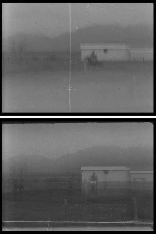 La Troya. Un caballo en movimiento movie poster