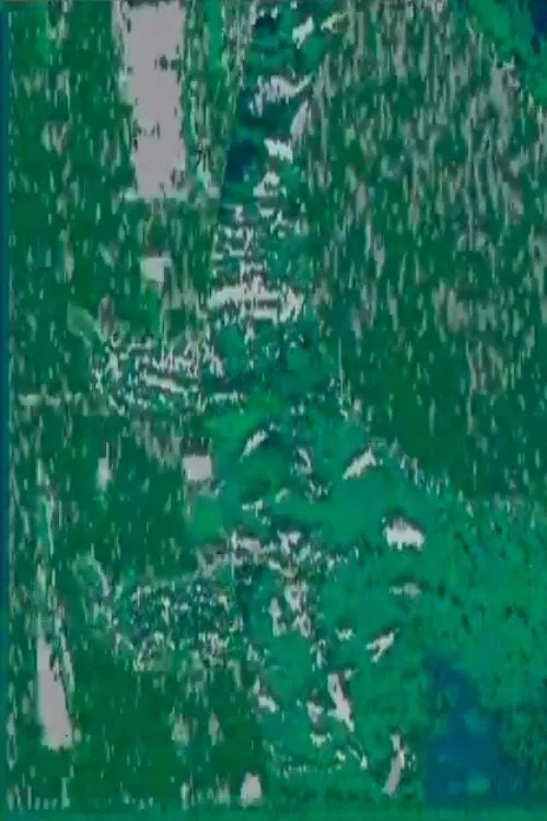 L'adoration de la terre movie poster