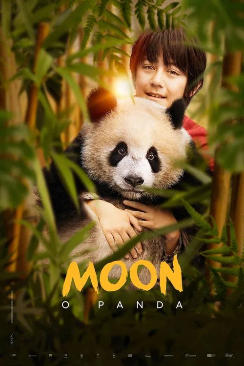 Poster do filme Moon The Panda