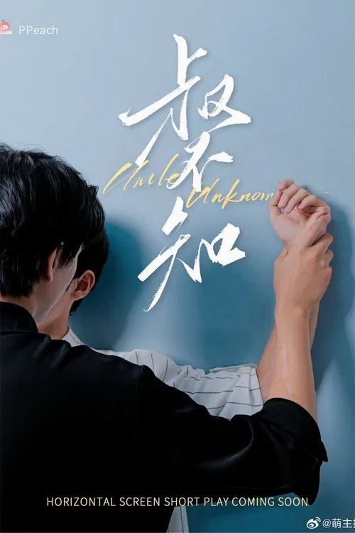 Uncle Unknown tv show poster