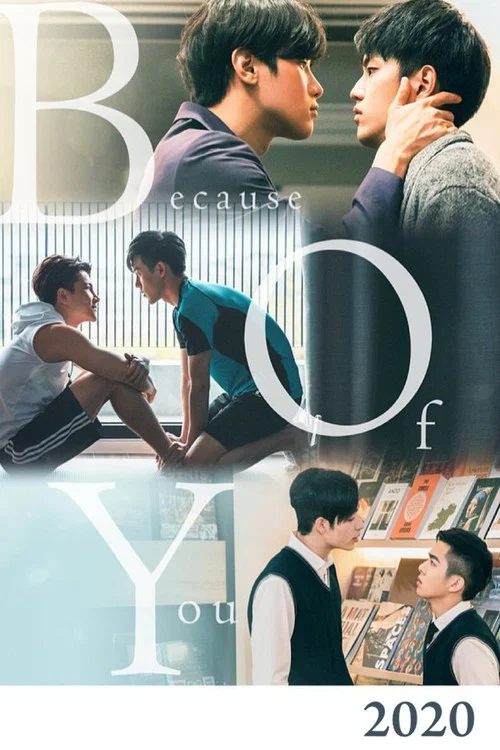 Because of You tv show poster