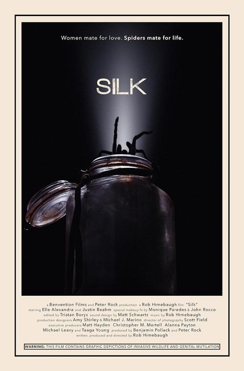Silk movie poster