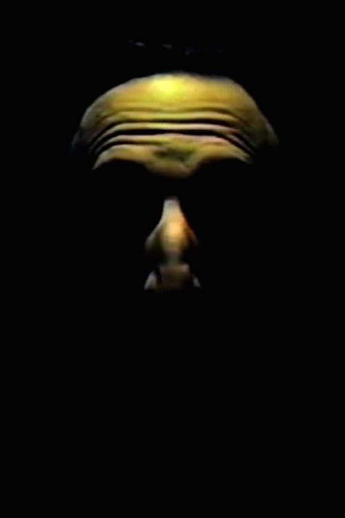 Poster do filme Digital Speech