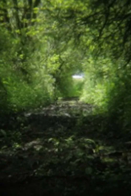 On Location movie poster