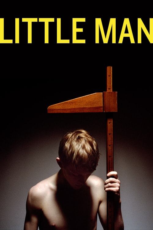 Little Man movie poster