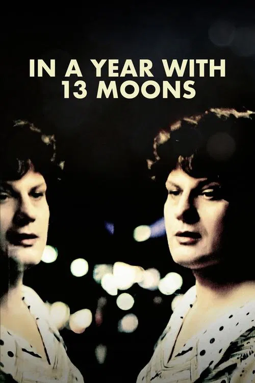 In a Year with 13 Moons movie poster