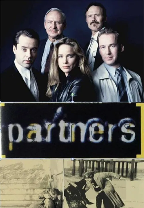 Poster da série Die Partner