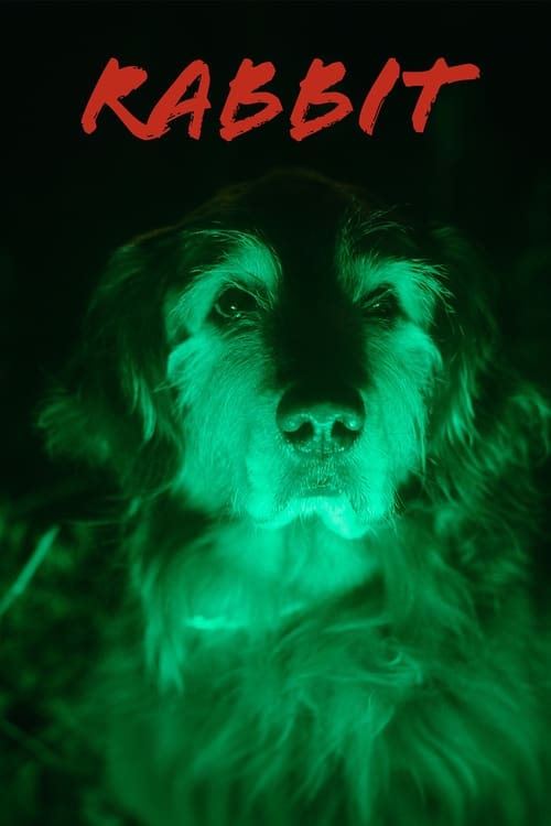 Rabbit movie poster
