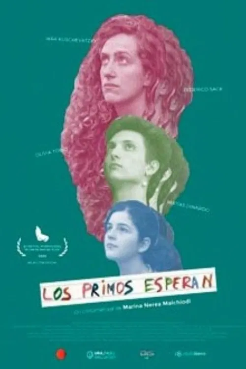 Cousins Wait movie poster