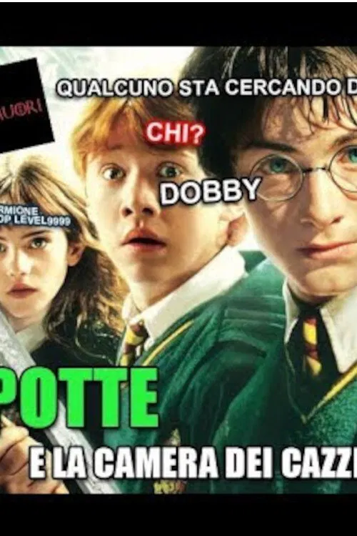 ERRIPOTTE E LA CAMERA DEI CA**IDELL'ALTRI movie poster