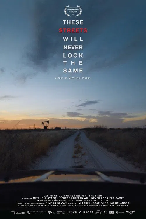These Streets Will Never Look the Same movie poster