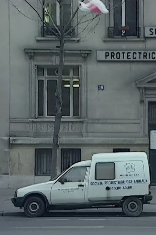 Nous sommes tous des cafards movie poster