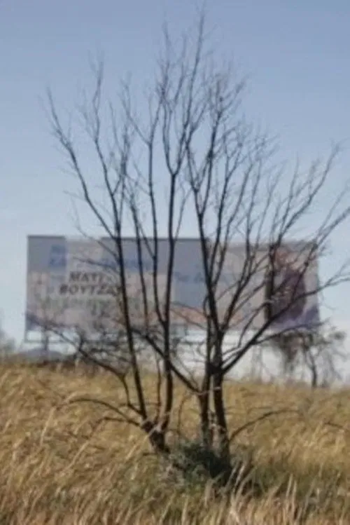 Poster do filme BadLand