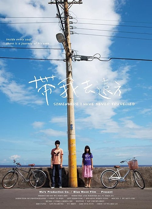 Somewhere I Have Never Travelled movie poster