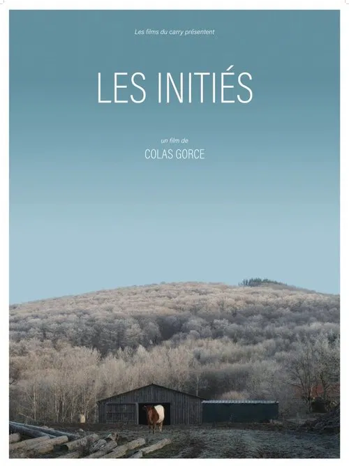 Les initiés movie poster