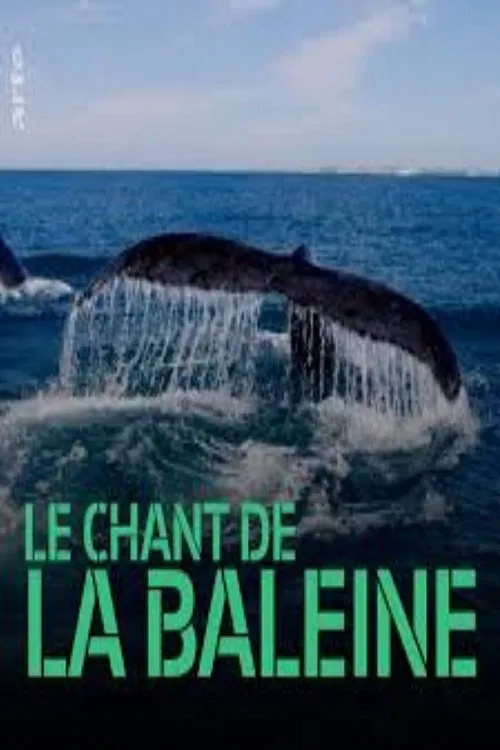 Whale Patrol movie poster
