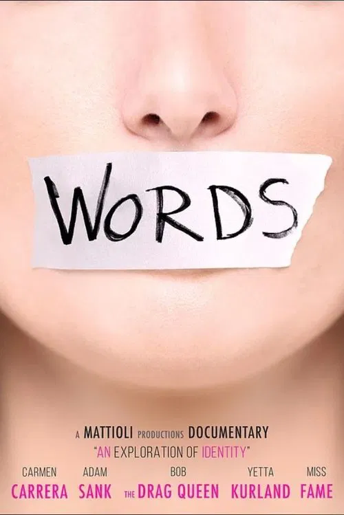 Words movie poster