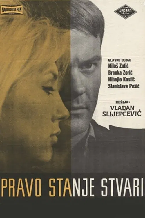 The Real State of Affairs movie poster