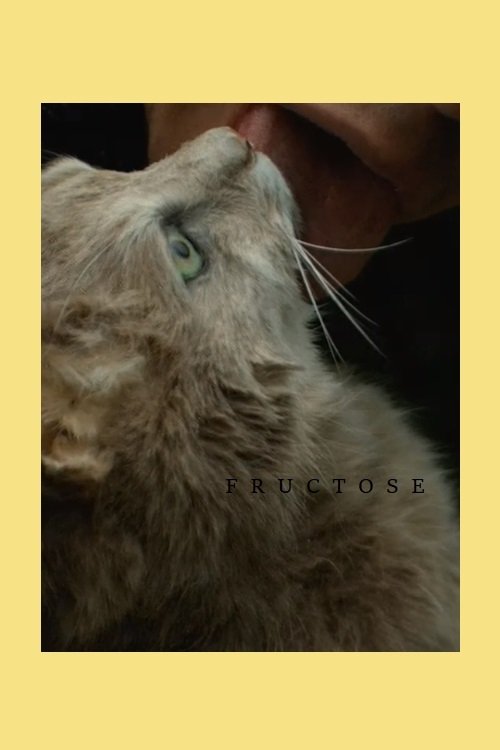 Fructose movie poster