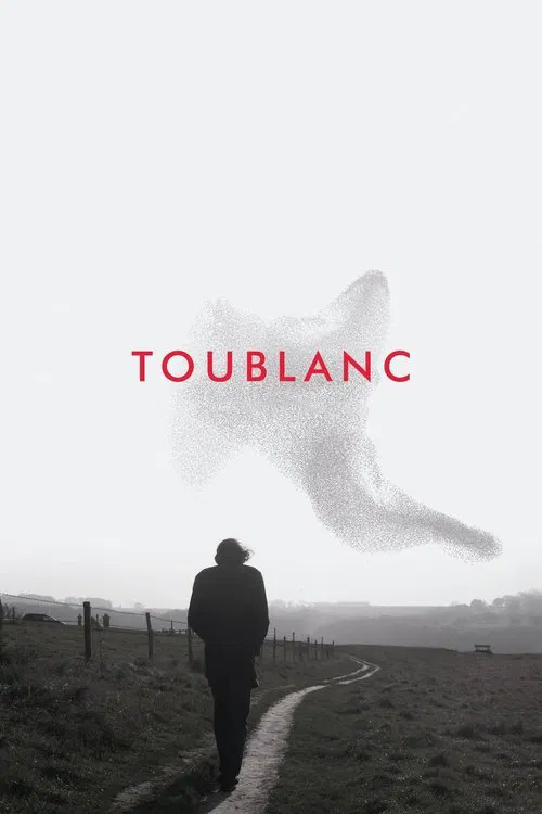 Toublanc movie poster