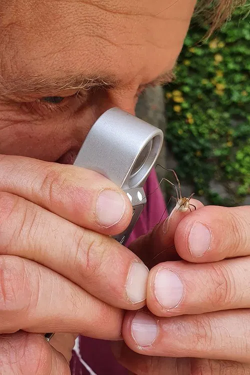 Poster do filme Geheimnisvolle Parktiere - Wildes Leben in der Stadt