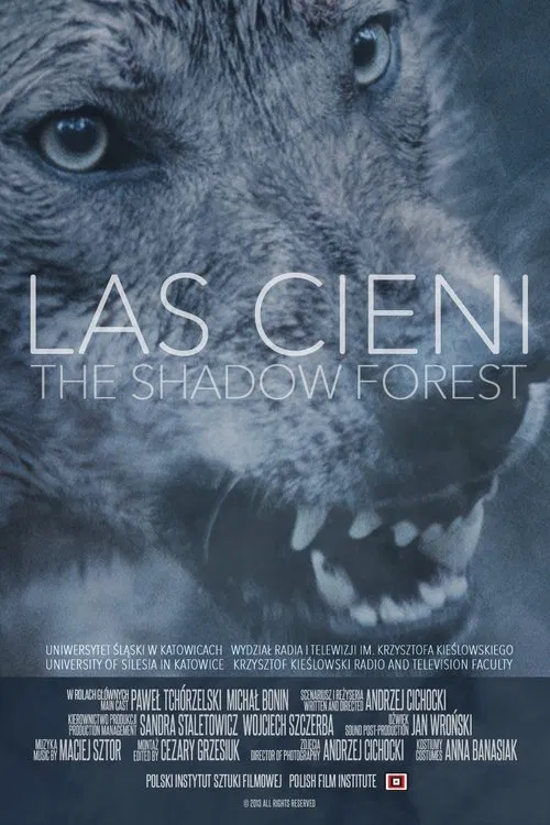 Las cieni movie poster