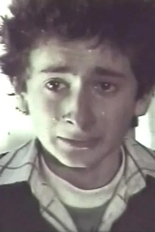 hedgehog movie poster