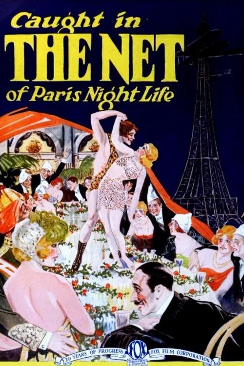 The Net movie poster