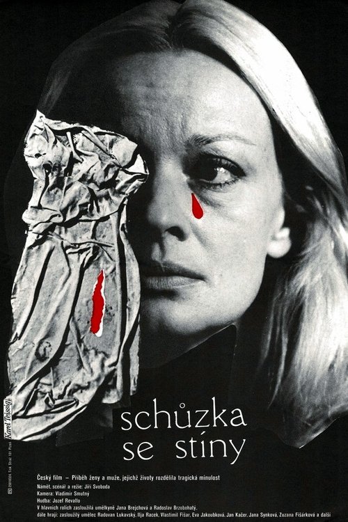Schůzka se stíny movie poster