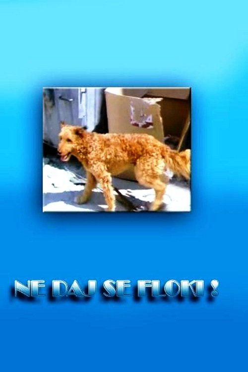 Don't Give in, Flockey! tv show poster