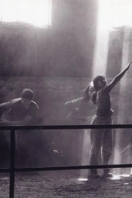 Poster do filme Vertigo Bird