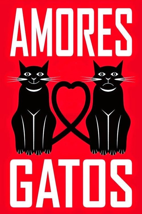 Amores Gatos movie poster