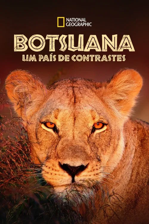 Poster do filme Botsuana: Um País de Contrastes