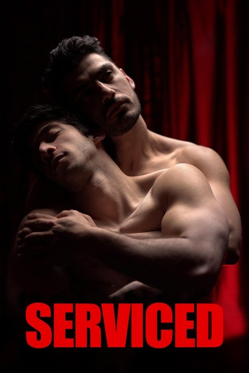 Serviced movie poster