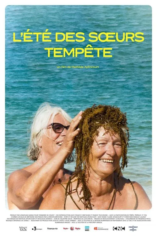 L'été des sœurs Tempête movie poster