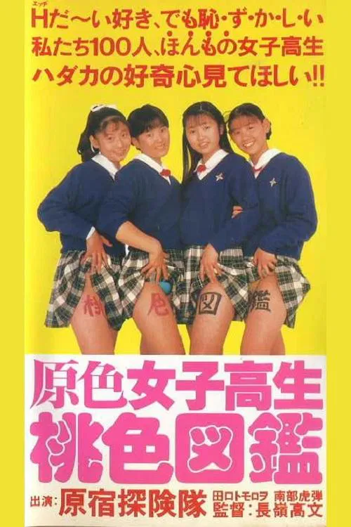 Poster do filme Primary Colour High School Girl Pink Picture Book