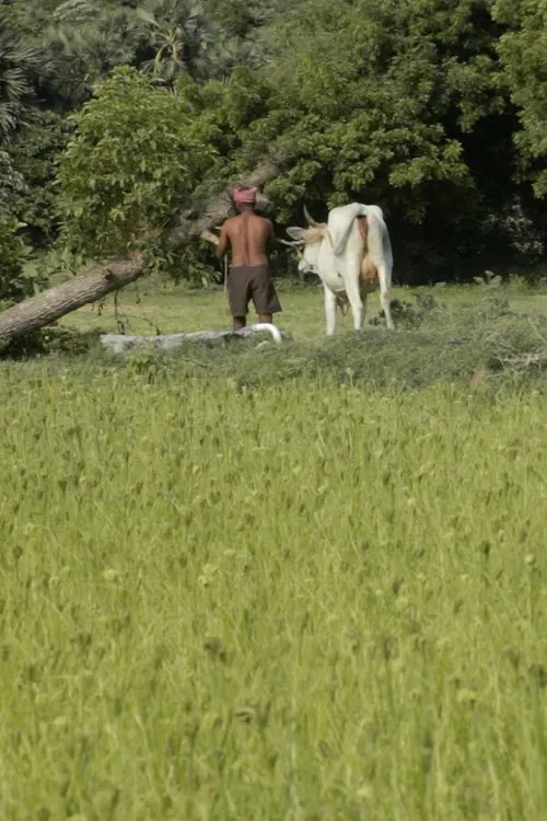 Where I Can’t Be Found movie poster